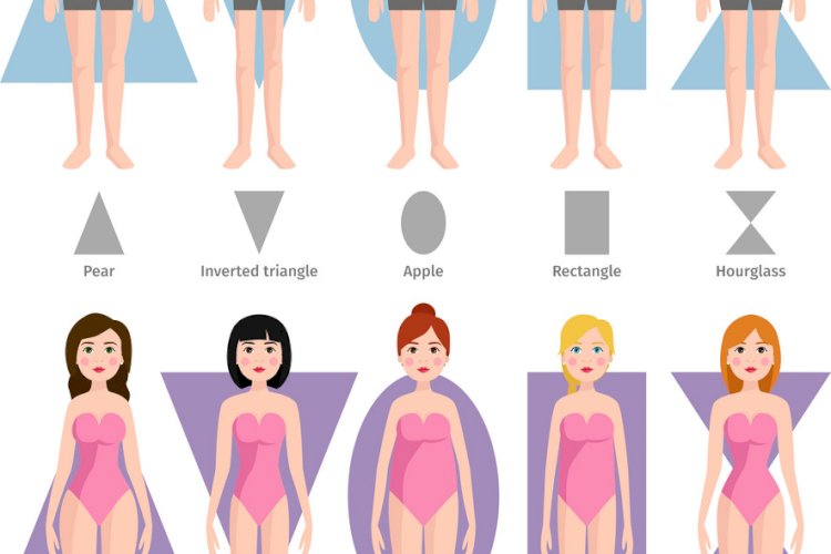 Check your body shape